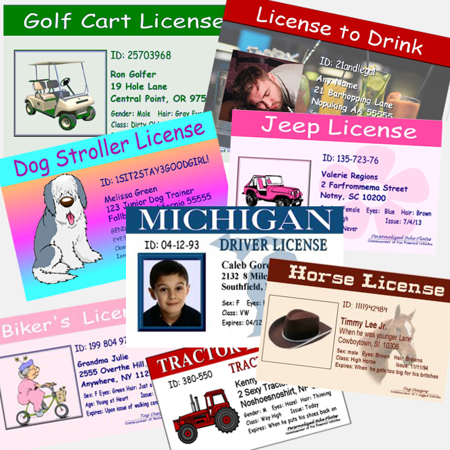 Personalized Novelty Driver's License for kids, adult joke licenses and more